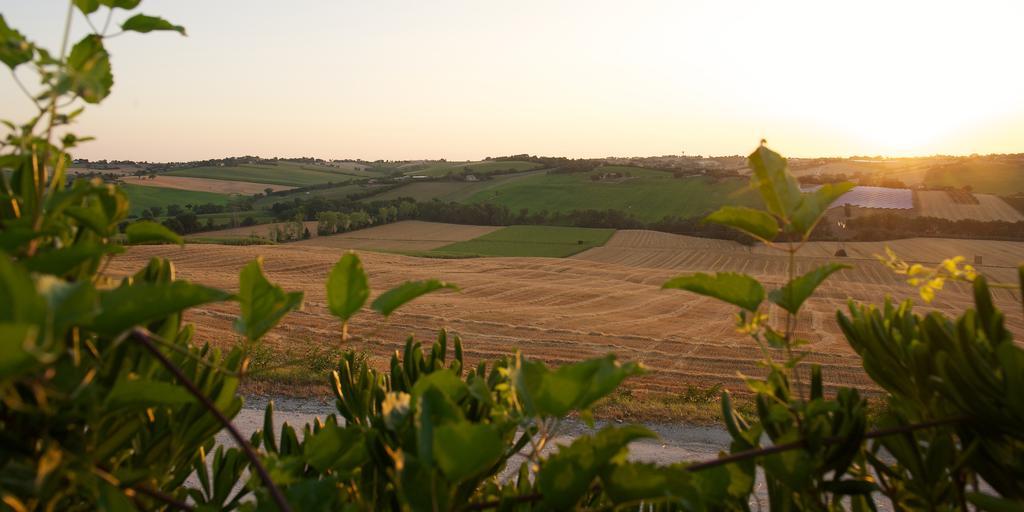 Poggio Antico Διαμέρισμα Monte San Vito Εξωτερικό φωτογραφία