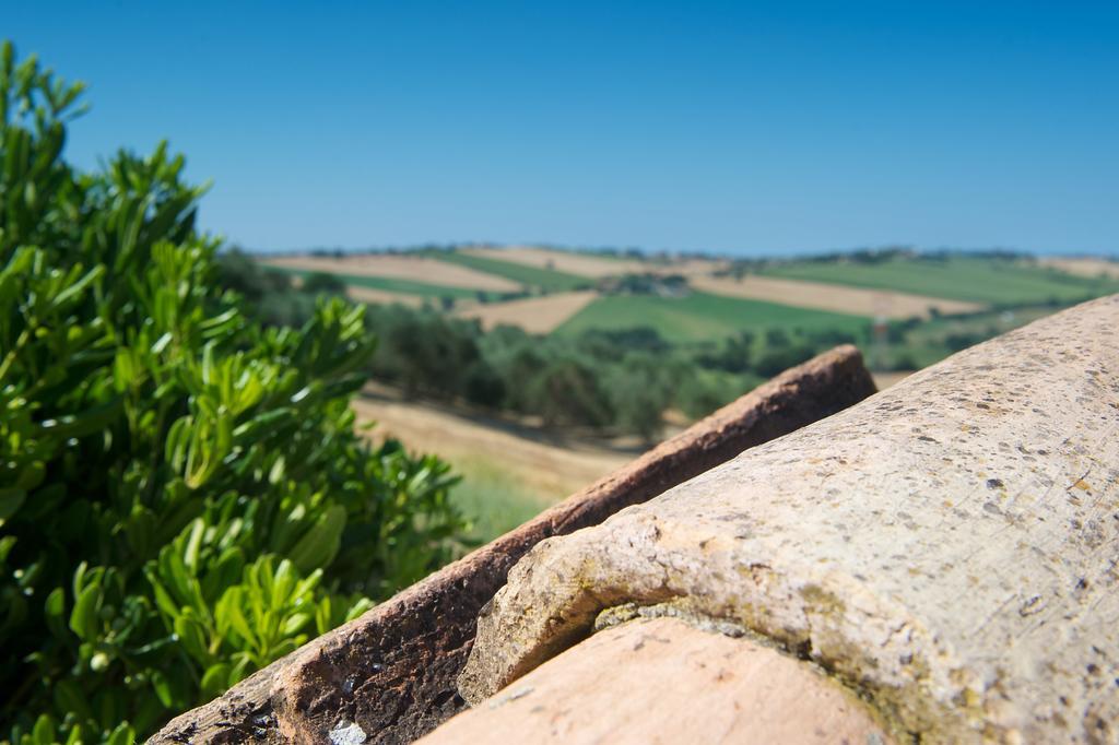 Poggio Antico Διαμέρισμα Monte San Vito Εξωτερικό φωτογραφία