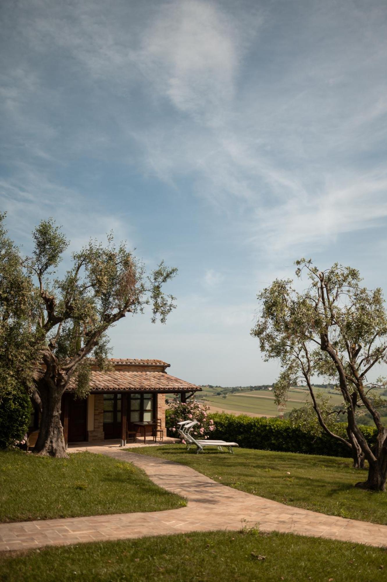 Poggio Antico Διαμέρισμα Monte San Vito Εξωτερικό φωτογραφία