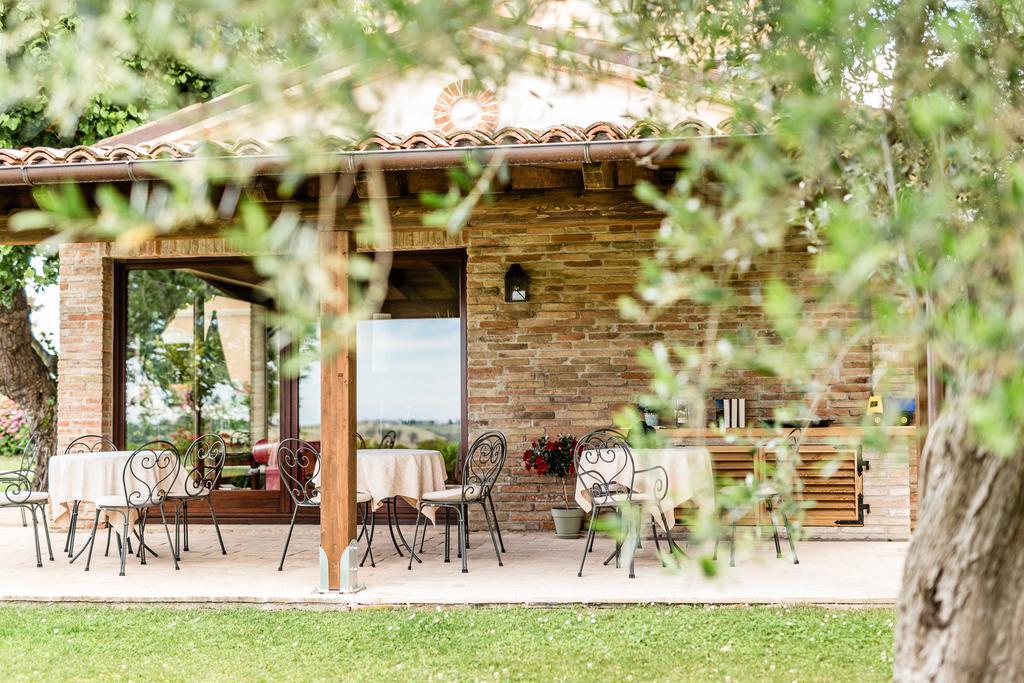 Poggio Antico Διαμέρισμα Monte San Vito Εξωτερικό φωτογραφία